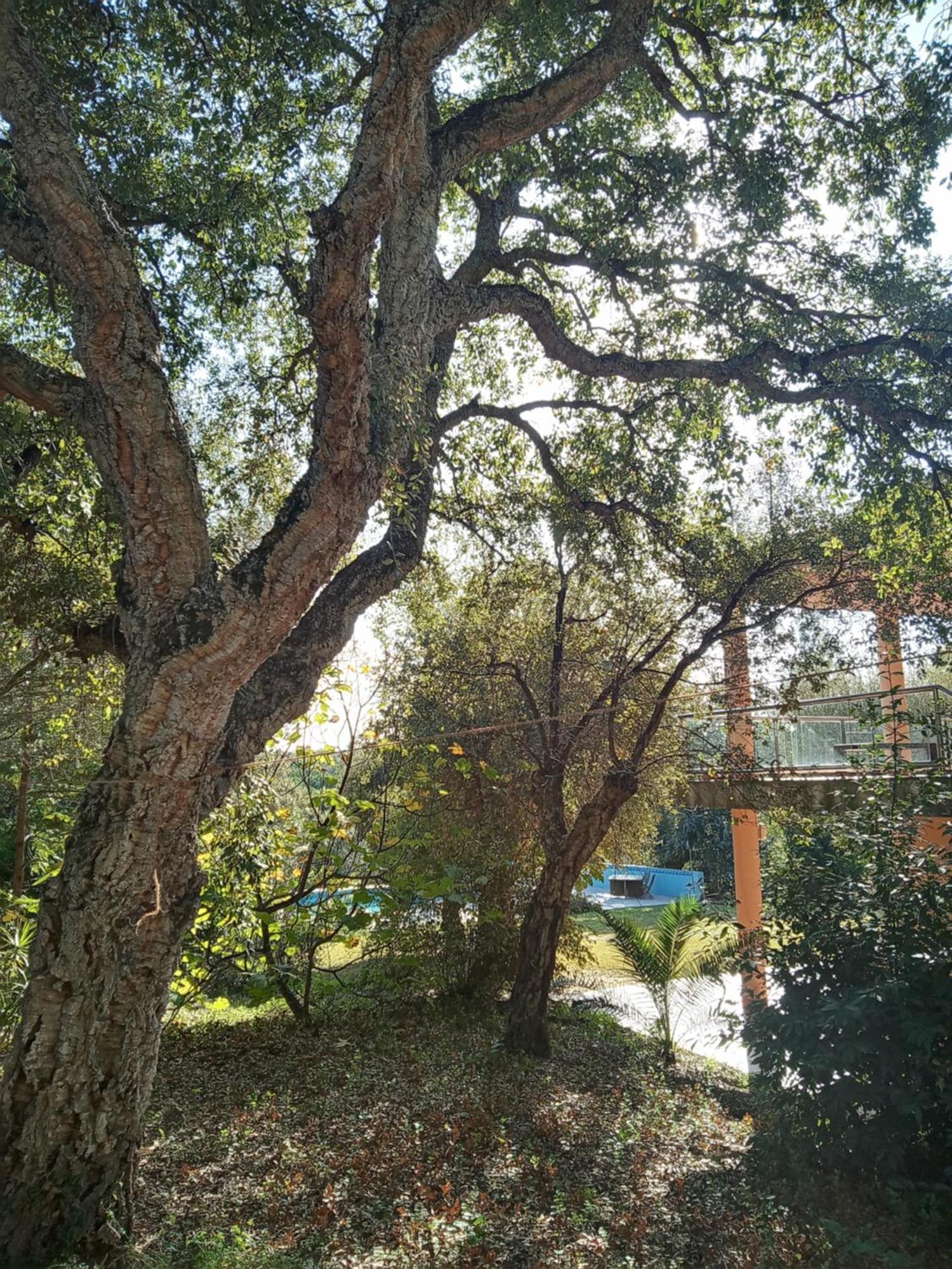 Sotogrande - Estancia En Plena Naturaleza - Abril Εξωτερικό φωτογραφία