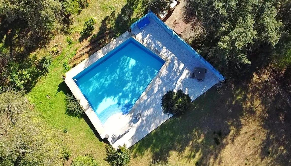 Sotogrande - Estancia En Plena Naturaleza - Abril Εξωτερικό φωτογραφία