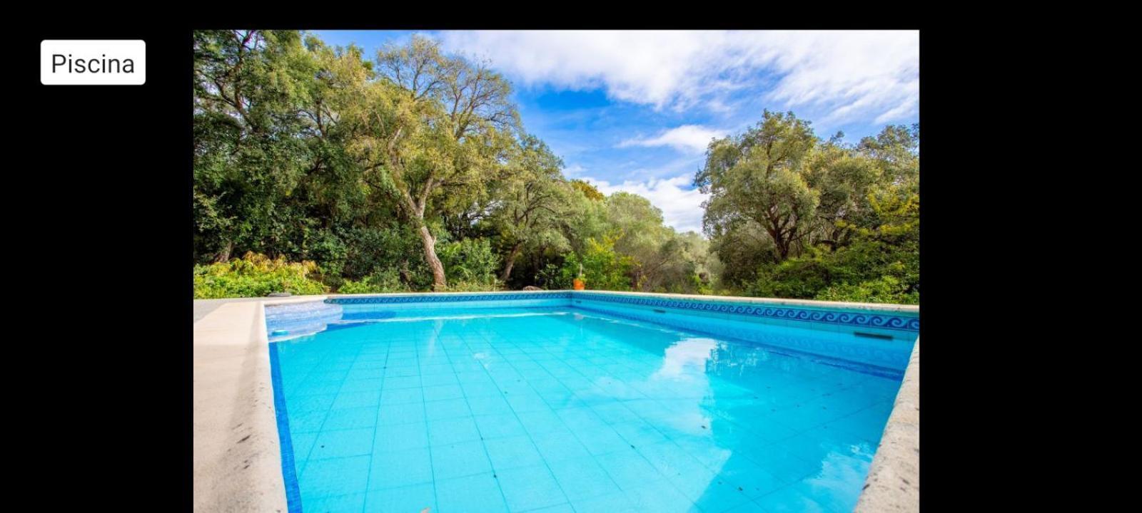 Sotogrande - Estancia En Plena Naturaleza - Abril Εξωτερικό φωτογραφία