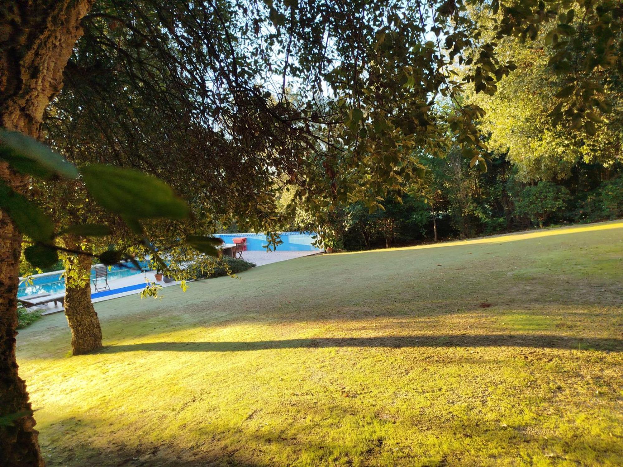 Sotogrande - Estancia En Plena Naturaleza - Abril Εξωτερικό φωτογραφία